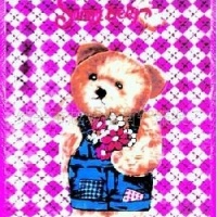 供应拉舍尔毛毯