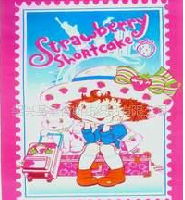 供应双面绒双人毯子