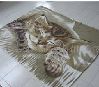 供应摇粒绒毛毯 