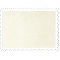 供应 双经单纬帆布