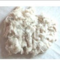 供应木棉纤维