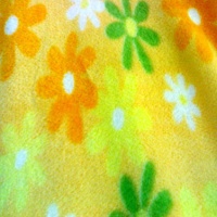 供应珊瑚绒毛毯