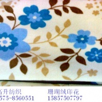 供应印花染色珊瑚绒