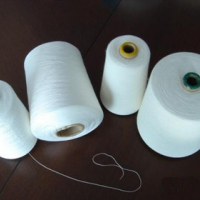 苎麻棉混纺纱线：5S-50S纱