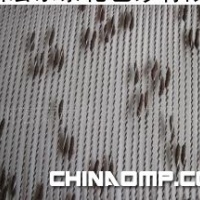 银色结子纱 大结子纱