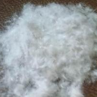 供应优质鸭绒, 鹅绒