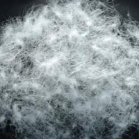 供应鸭绒, 鹅绒