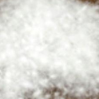 供应90%水洗白鸭绒