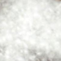 供应70%水洗白鸭绒