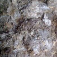 供应貉子毛,貉子绒,貉绒,貉毛，狐狸绒，狐狸毛