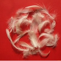 供应毛片、水洗白鸭毛片、2-4cm、4-6cm