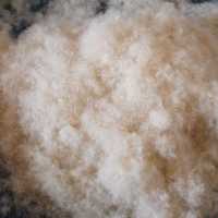 供应水洗50%-70%白鸭绒