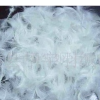 供应羽绒枕芯、抱枕填充2-4公分精洗毛片