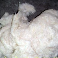 供应再生棉花，脱脂棉，丝棉，喷胶棉，涤纶纤维