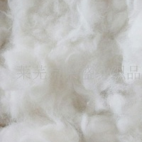 供应专业生产 优质兔绒 山东(图)