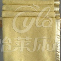 供应新款超柔蚕丝毯 单人纯天然真丝毯