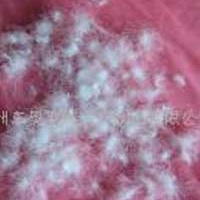 供应白鸭绒90%国标