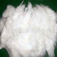 供应蓝色 紫色 白色涤棉棉花