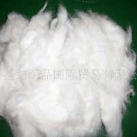 供应再生纯棉棉花