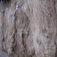 供应3.1支经二股纱线 