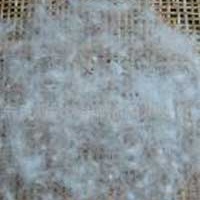 供应羽绒80% 国标