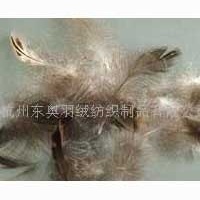 供应毛片（各类毛片）(图)