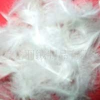 供应毛片2-4, 4-6