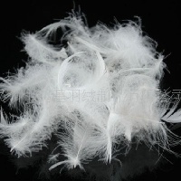 供应羽毛，鸭毛，水洗羽绒、鸭绒、鹅绒 