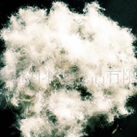 供应30%白鸭绒(图)  