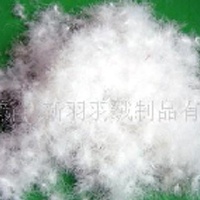 供应70%水洗白鸭绒(图)  