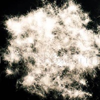 供应90%白鸭绒(图)  