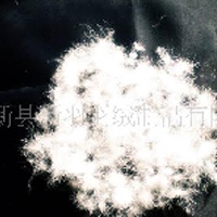 供应90%鹅绒(图)  