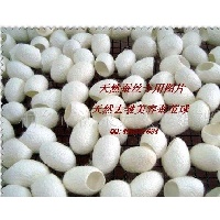 供应天然蚕茧蚕丝，蚕沙，蚕蛹，蚕丝原料等 