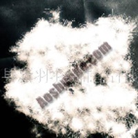 供应90%种鸭绒(图)  