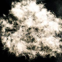 供应80%白鸭绒(图)  