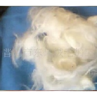 供应梳绒用短兔毛  
