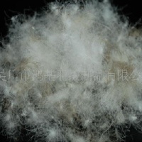 供应水洗灰鸭绒  