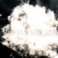 供应70%鹅绒(图)  