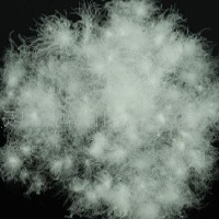 供应水洗羽绒，白鹅绒  