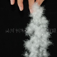供应水洗串串白鸭绒  