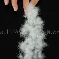 供应水洗羽绒，串串白鸭绒  