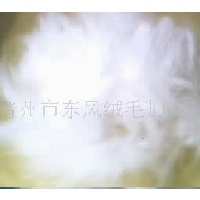 供应高档毛呢用.家兔毛  