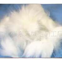 供应特粗和细绒型菜兔毛  