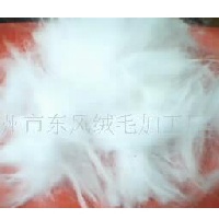 供应特粗型和细绒型菜兔毛  