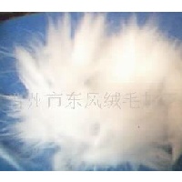 供应兔毛纱用可低温染色短兔毛 