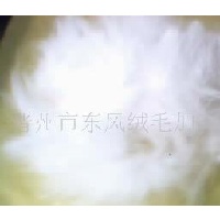 供应绒性3公分兔毛  