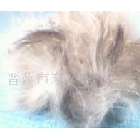 供应杂色菜兔毛 