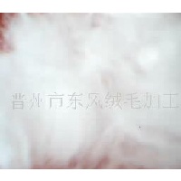 供应机梳短兔毛绒  