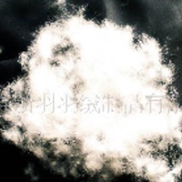 供应80%鹅绒(图)  