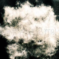 供应50%白鸭绒(图)  